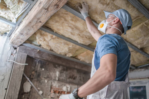 Best Spray Foam Insulation in Downers Grove, IL