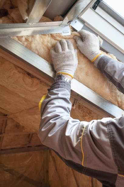 Types of Insulation We Offer in Downers Grove, IL